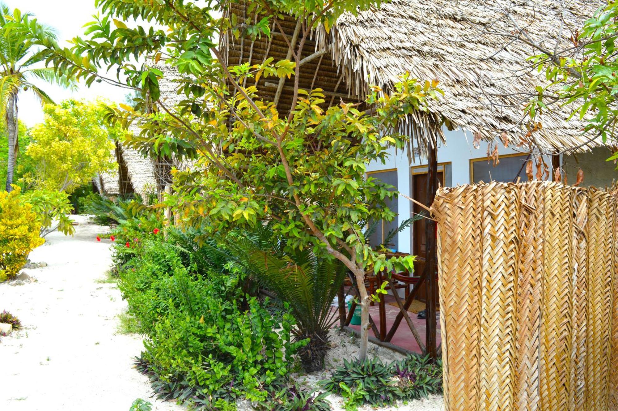 New Jambo Bungalows Paje Exterior foto