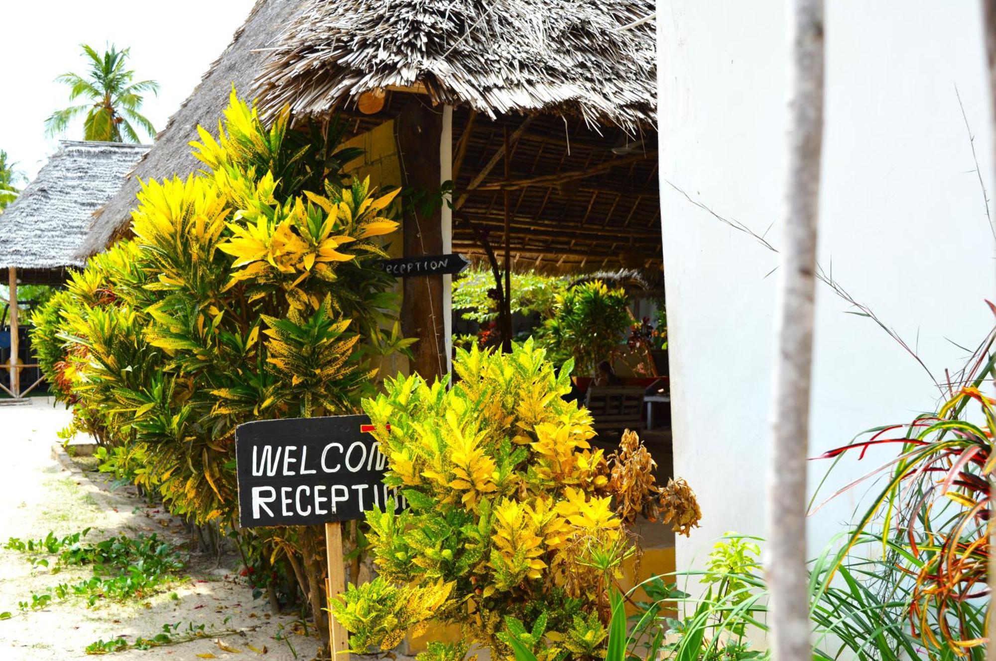 New Jambo Bungalows Paje Exterior foto